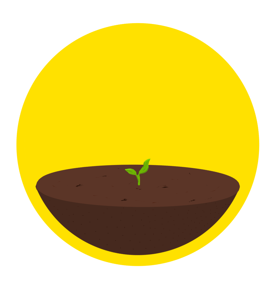 Plant stage 1