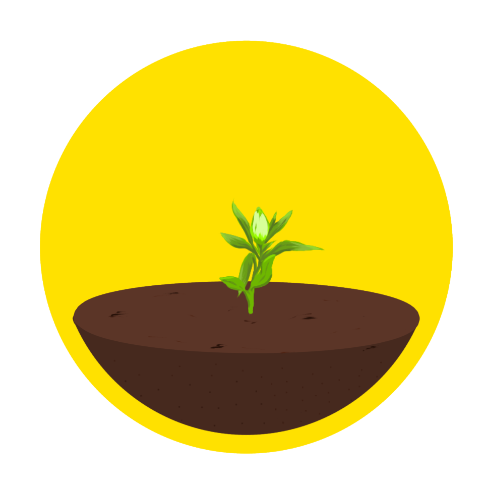 Plant stage 2