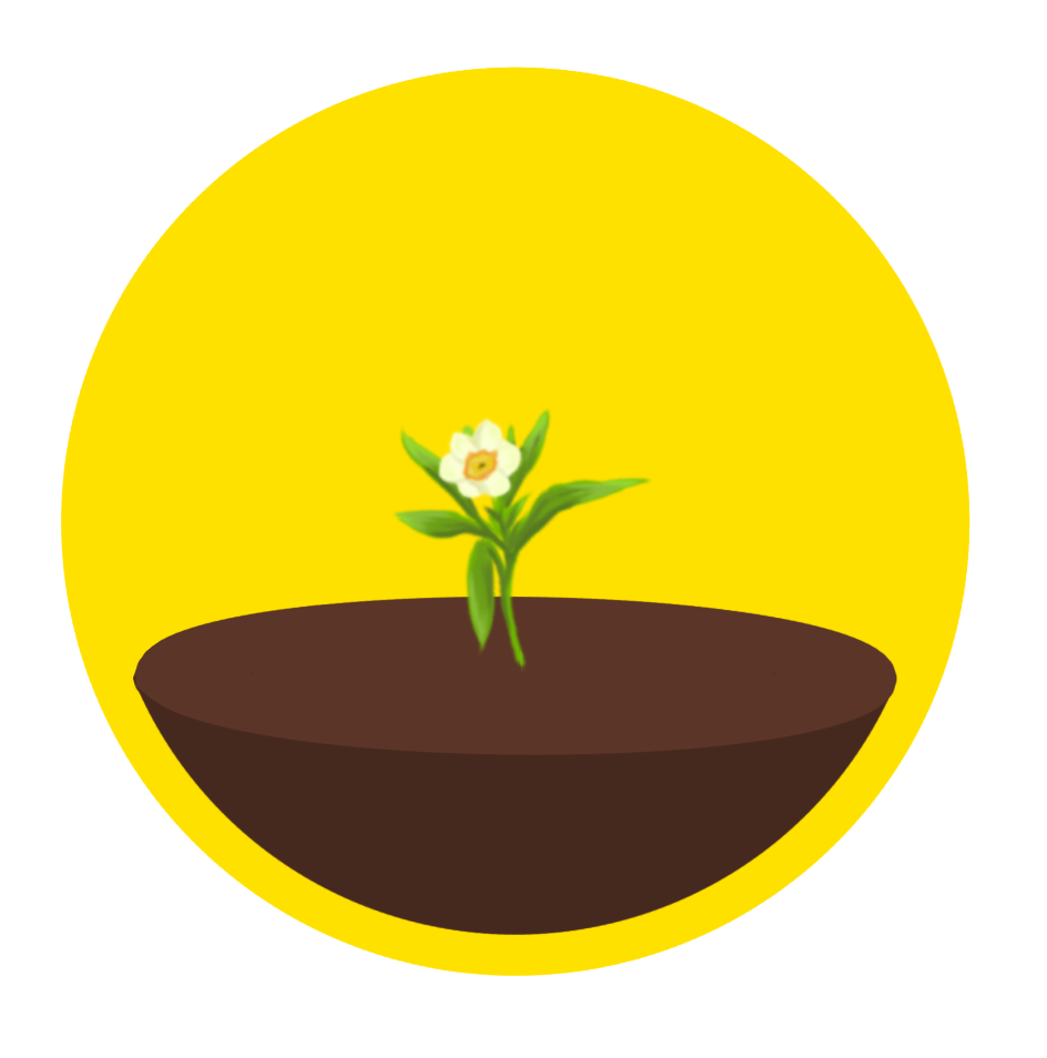 Plant stage 3