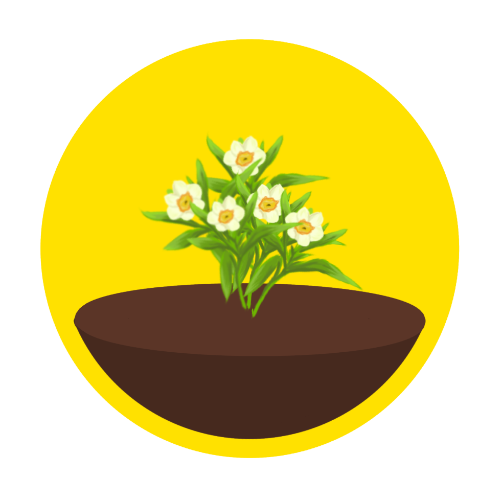 Plant stage 4
